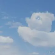 ！