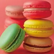 チョコの画像