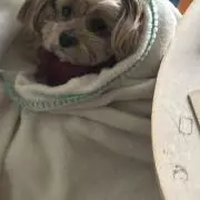 QqCcaanの画像