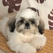 ルールの画像