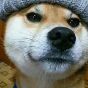 リクの画像