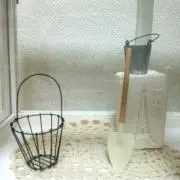 ちぃの画像