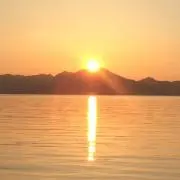 ドリームの画像