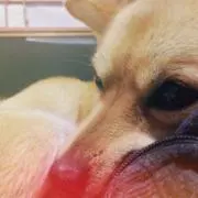 みんの画像