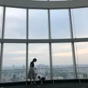 まなりこ