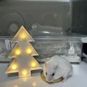 yuの画像