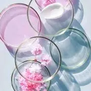 豆茶の画像