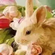 ちぃ