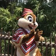 ミッティの画像