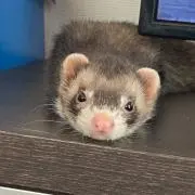 あなちこの画像