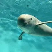 R.の画像