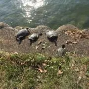 トロミの画像
