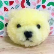 爛々の画像