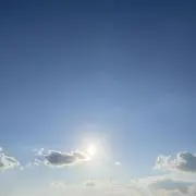 らんの画像