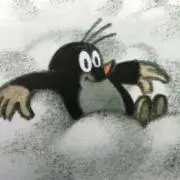 suu