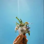 えぬ。