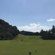 タクの画像