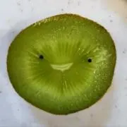 りーずの画像