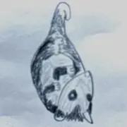ばあや✴︎の画像