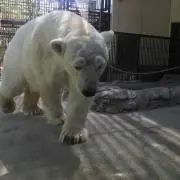 manaの画像