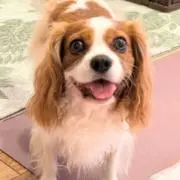 ユカ