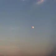 ⭐︎