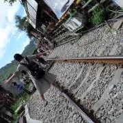 たる