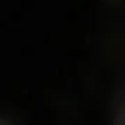しょう
