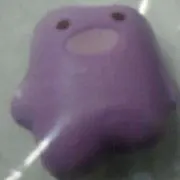 maruの画像