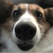 桝添先輩の画像
