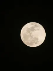 t.tの画像