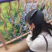 アクセルの画像