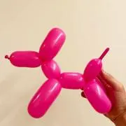 ぴーの画像