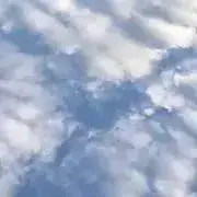 soft.の画像