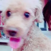 むーんの画像