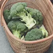 KEIKOの画像