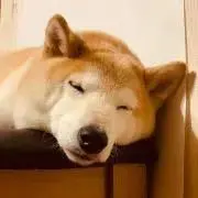 つぐみるくの画像