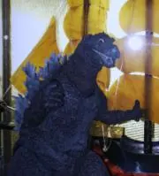 ロッキーの画像