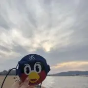 yuの画像