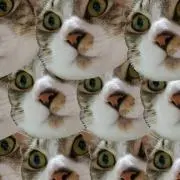 コッコちゃんの画像