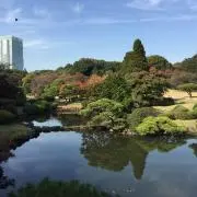 Caの画像