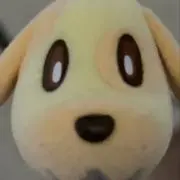 ⭐️