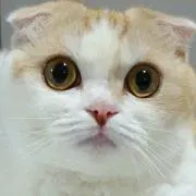 matatabiの画像