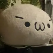 イツキの画像