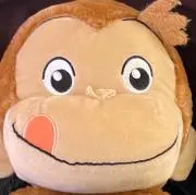 あむすの画像