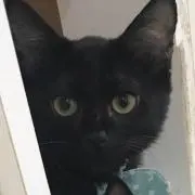みつの画像