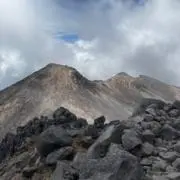 ともの画像
