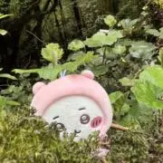 AHJIの画像