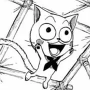 小次郎の画像