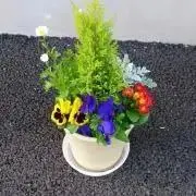 そらの画像